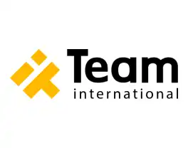 TEAM International Services Inc.