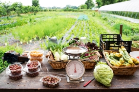 How a Farm-to-Table Wholesaler in Texas is Perseverving in the Age of Coronavirus